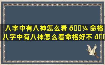 八字中有八神怎么看 🌼 命格「八字中有八神怎么看命格好不 🌸 好」